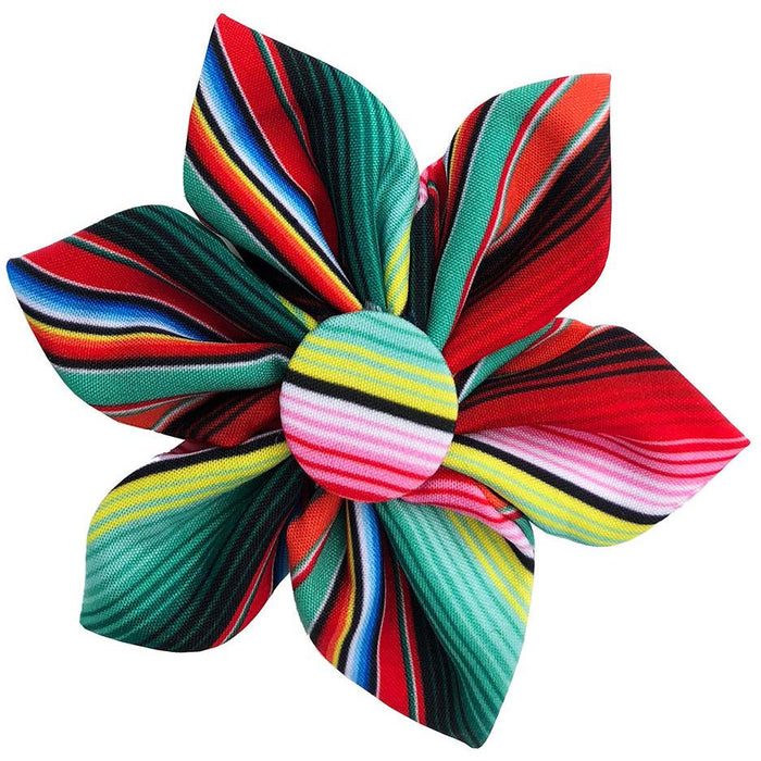 Huxley & Kent - Serape Stripe Pinwheel