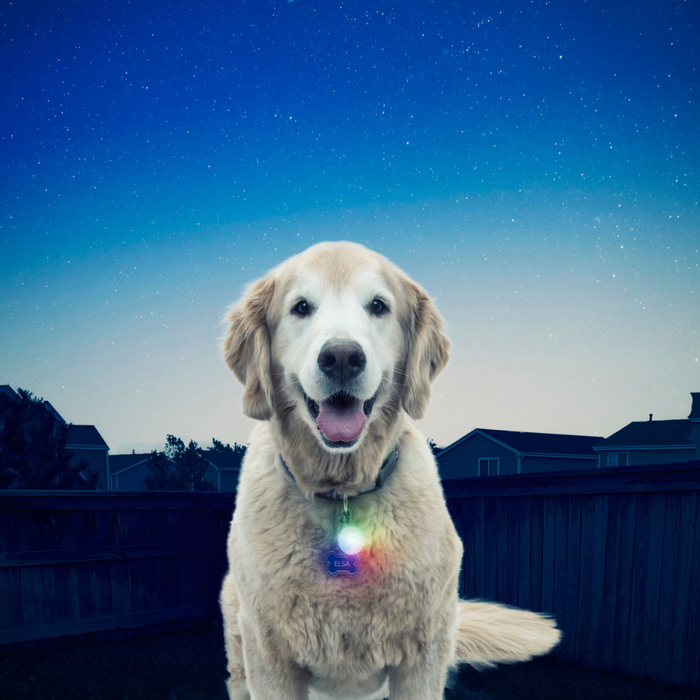 Nite Ize SpotLit Collar Light — Disc-O Select