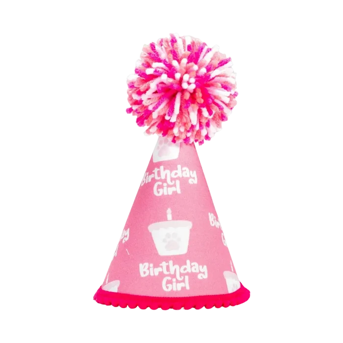 Pup Party Hats – Barkday Girl Hat | Handcrafted Dog Birthday Party Hat