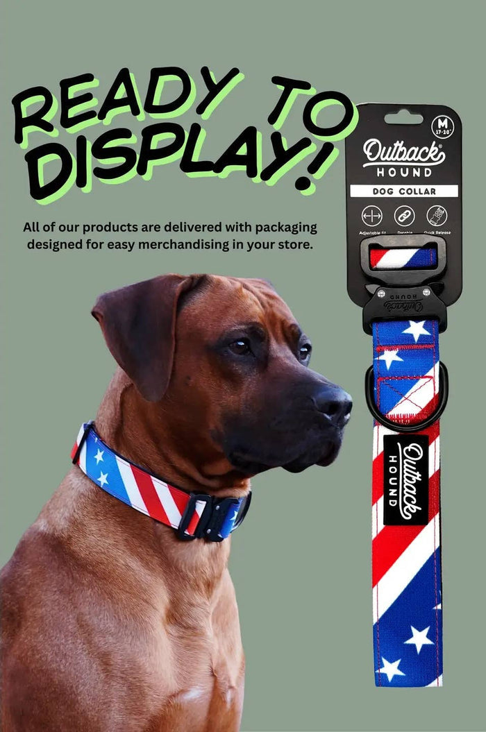 Rainbow Trout Dog Collar by Outback Hound