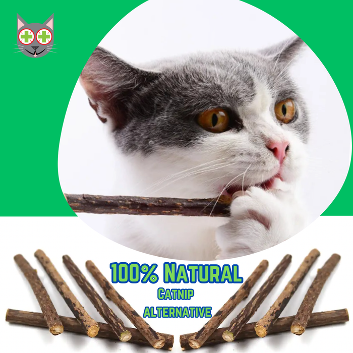 Smokey's Stash - Smokey's Stash 10 pack Silvervine Sticks Catnip Alternative