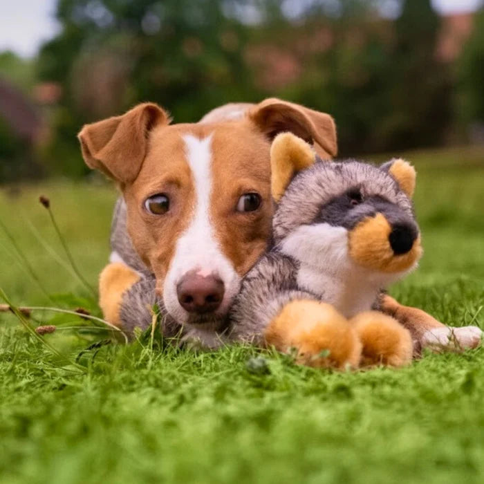 Sterling Fox Plush Dog Toy by Fluff & Tuff - Dog.Dog.Cat.