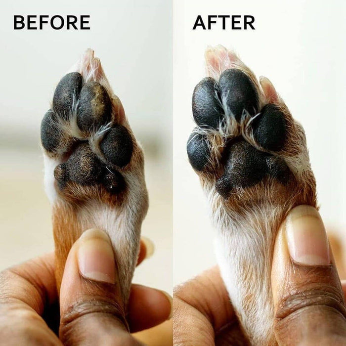 Alpine Paw Protect™ All-Season Paw Protection Wax Care for Dogs and Cats - Dog.Dog.Cat.