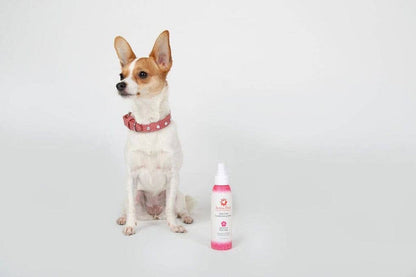 Aroma Paws - Geranium Sage Dog Coat Conditioning Spray, 4.5 oz.