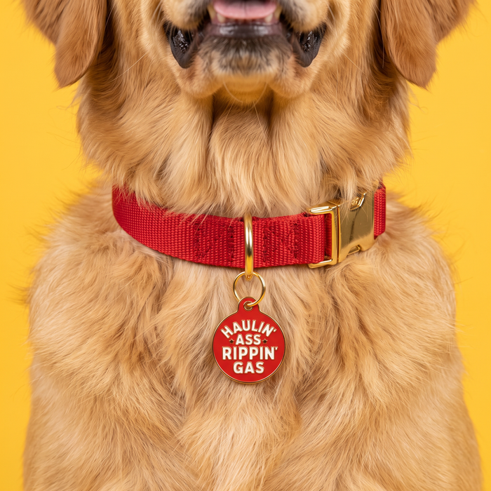 Bad Tags - Funny Dog Tag Charm & Pet ID - Haulin Ass Ripping Gas