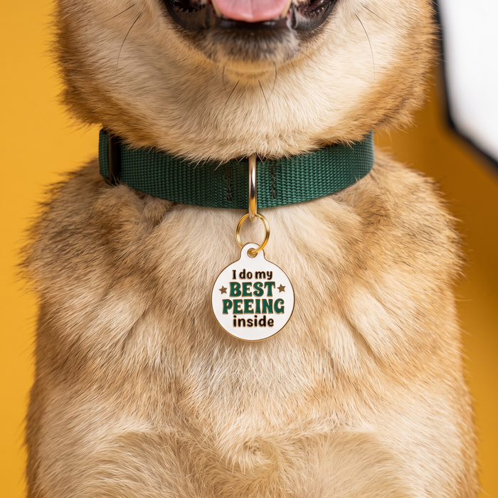 Bad Tags - Funny Dog Tag Charm & Pet ID - I Do my Best Peeing Inside