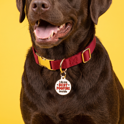 Bad Tags - Funny Dog Tag Charm & Pet ID Tag - Best Pooping Inside