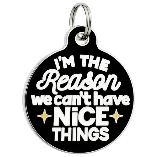 Bad Tags - Funny Dog Charm & Pet ID Tag - Can't Have Nice Things - Dog.Dog.Cat.