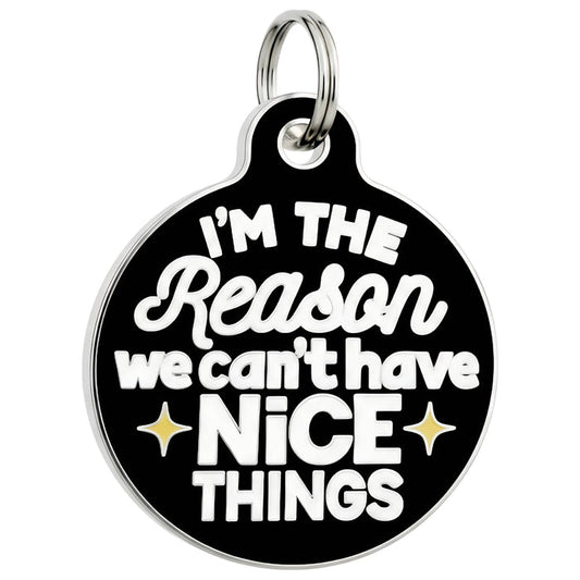 Bad Tags - Funny Dog Charm & Pet ID Tag - Can't Have Nice Things - Dog.Dog.Cat.