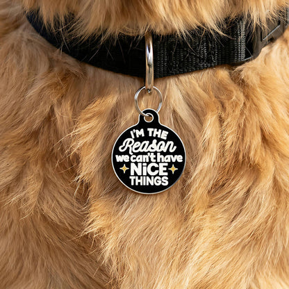Bad Tags - Funny Dog Charm & Pet ID Tag - Can't Have Nice Things - Dog.Dog.Cat.