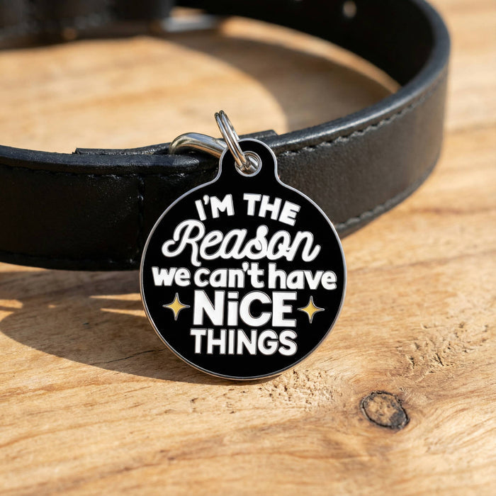 Bad Tags - Funny Dog Charm & Pet ID Tag - Can't Have Nice Things - Dog.Dog.Cat.