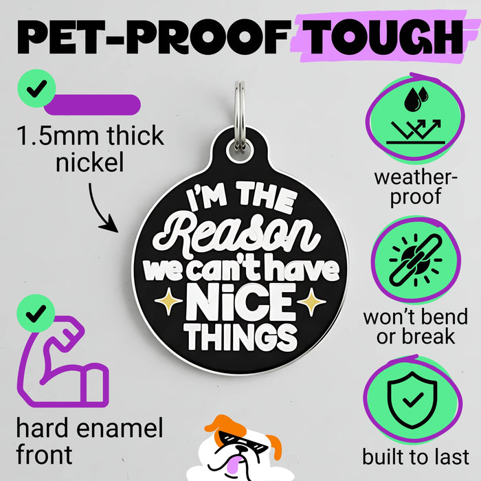 Bad Tags - Funny Dog Charm & Pet ID Tag - Can't Have Nice Things - Dog.Dog.Cat.