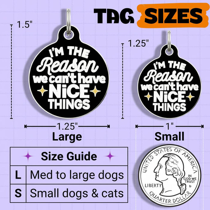 Bad Tags - Funny Dog Charm & Pet ID Tag - Can't Have Nice Things - Dog.Dog.Cat.