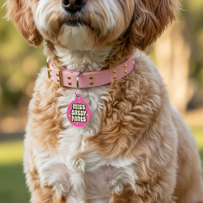 Bad Tags - Funny Personalized Dog ID Tag - Miss Sassy Pants - Dog.Dog.Cat.