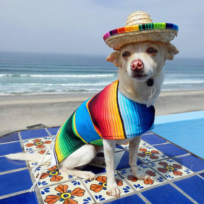 Baja Ponchos - Dog Sombrero