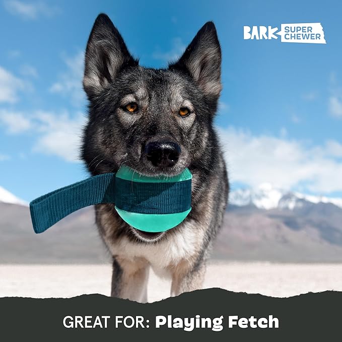 BARK Super Chewer Tailspin Toy - Glow-in-the-Dark Fetch & Tug Toy - Dog.Dog.Cat.