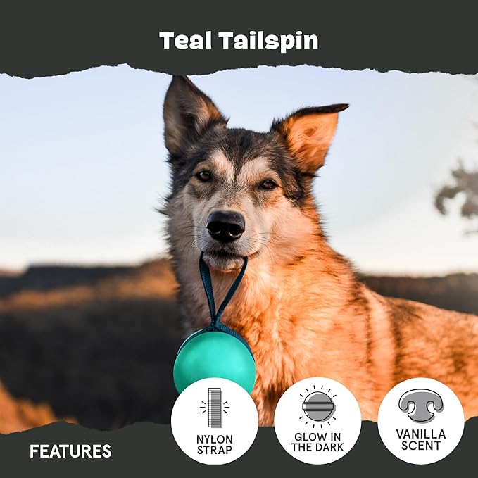 BARK Super Chewer Tailspin Toy - Glow-in-the-Dark Fetch & Tug Toy - Dog.Dog.Cat.
