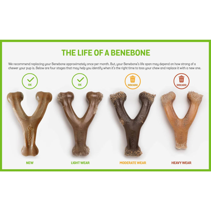 Benebone - Stick