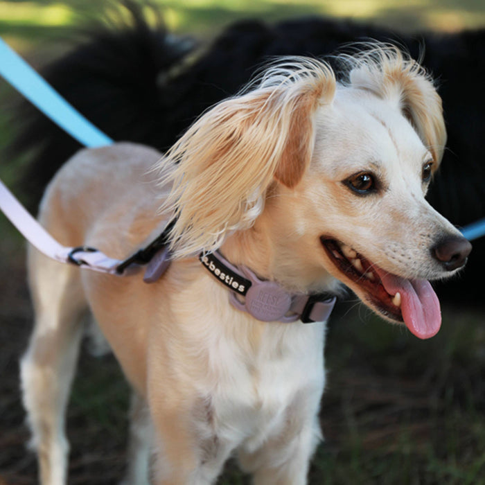 Besties Pets - Salt and Sun Silicone Pet AirTag Holder - Personalized - Dog.Dog.Cat.