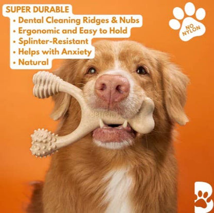 BetterBone Hard Dog Chew Toy