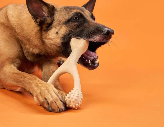 BetterBone Hard Dog Chew Toy