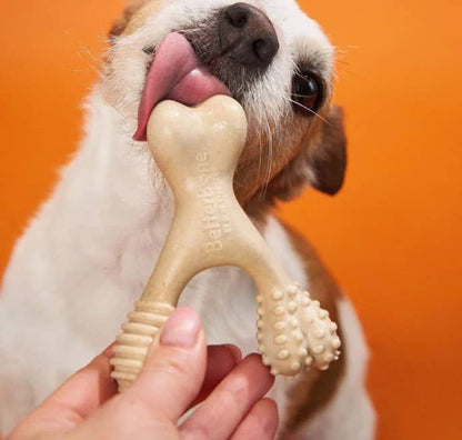 BetterBone Hard Dog Chew Toy