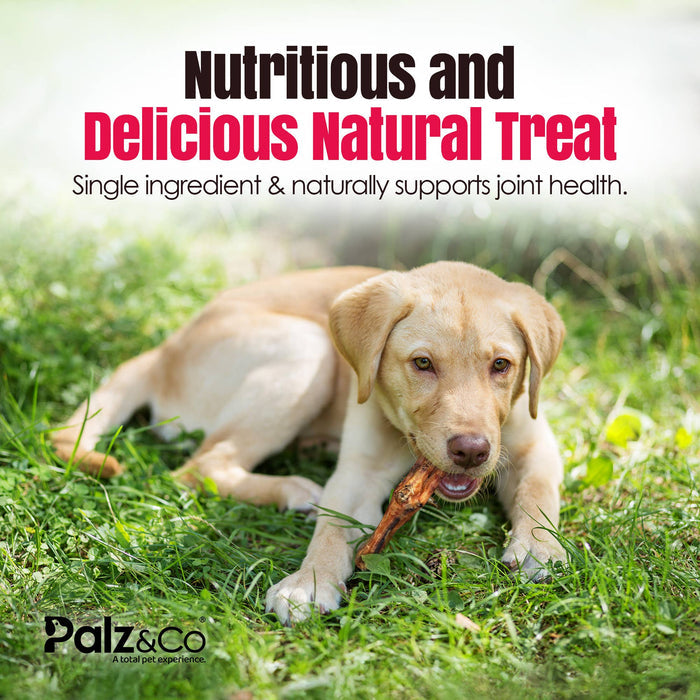 Palz&Co - Birddog Chicken Feet Dog Treats - Dog.Dog.Cat.
