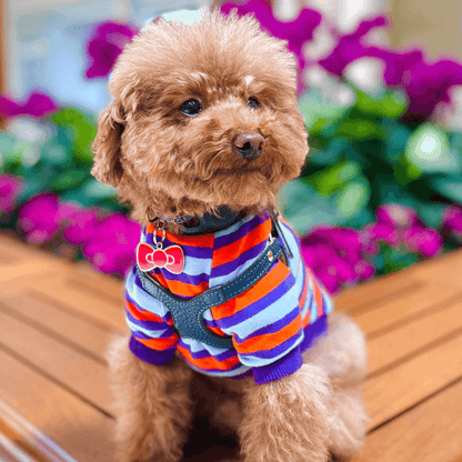 Bow Pet ID Tag - Dog.Dog.Cat.