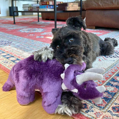 Charlie Triceratops - Dog.Dog.Cat.