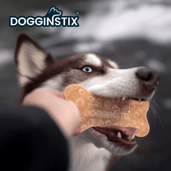 Dogginstix Beef Collagen Collabone 6" | Natural Dog Chew