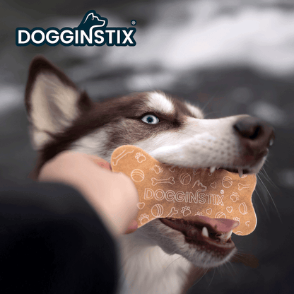 Dogginstix Beef Collagen Collabone 6" | Natural Dog Chew