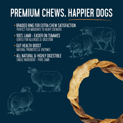 Dogginstix Lamb Collagen Ring 6.5" | Natural Joint Support Dog Chew