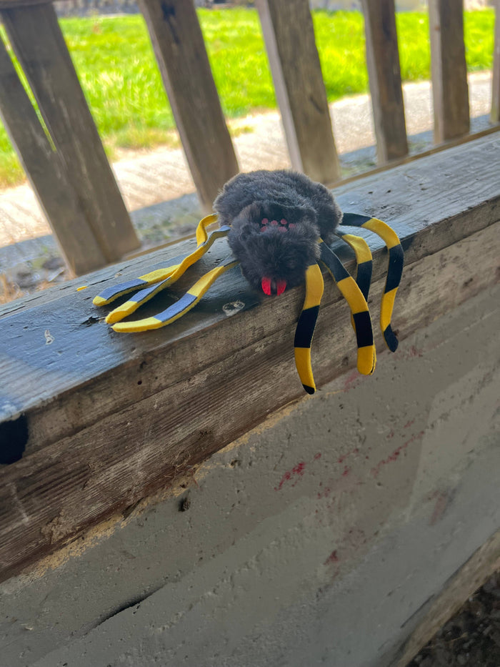 Doris Bizarro - Nancy