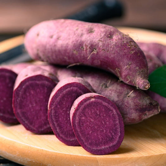 'Erato Violet' Sweet Potato Plant Vegetables