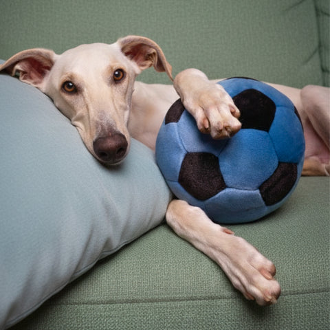 Fluff & Tuff Soccer Ball Plush Dog Toy - Dog.Dog.Cat.