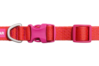 Front Range Flex Collar - Dog.Dog.Cat.