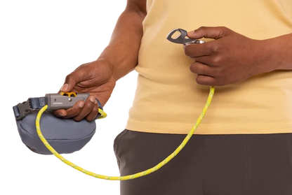 Hitch Hiker Leash - Dog.Dog.Cat.