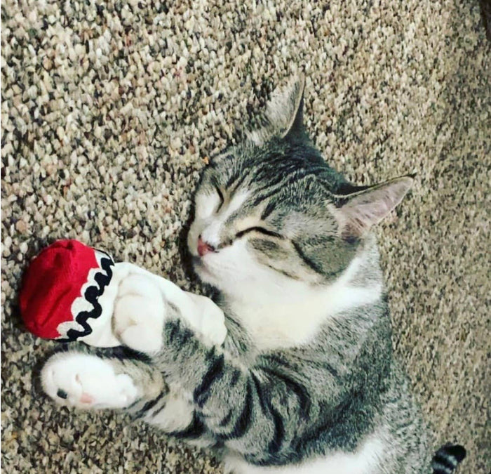 Dooby's Dog Toys - Hemp Cat Nip Joint w/ cat nip - Dog.Dog.Cat.