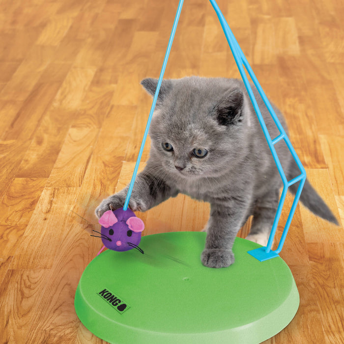 KONG Cat Active Eight Track Interactive Cat Toy - Dog.Dog.Cat.