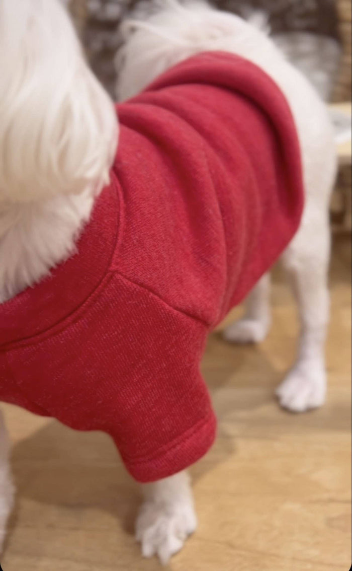 OAT COLLECTIVE - CUSTOM PUFF Pet Graphic Sweatshirt - Dog.Dog.Cat.
