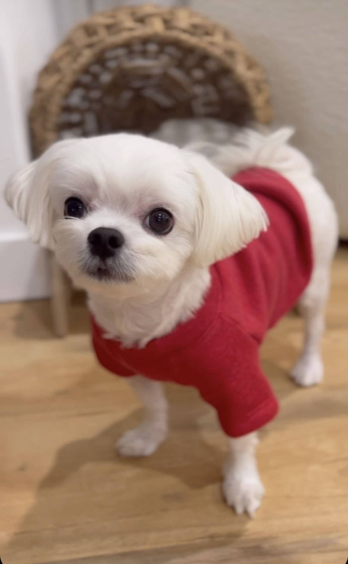 OAT COLLECTIVE - CUSTOM PUFF Pet Graphic Sweatshirt - Dog.Dog.Cat.