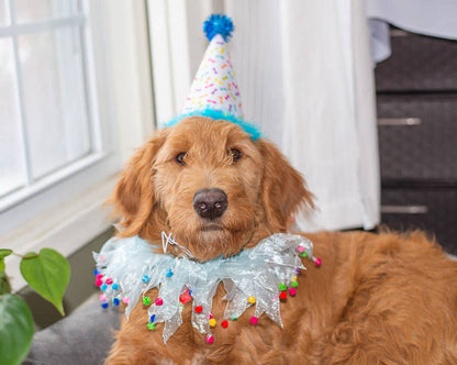 Multipet Party Pom Pom Collar Blue Large - Dog.Dog.Cat.
