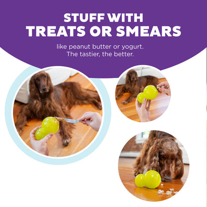 Double-Tuff Interactive Treat Stuffer Durable Dog Chew Toy, Large - Dog.Dog.Cat.