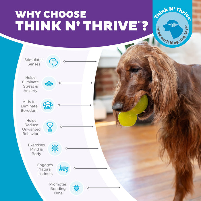 Double-Tuff Interactive Treat Stuffer Durable Dog Chew Toy, Large - Dog.Dog.Cat.