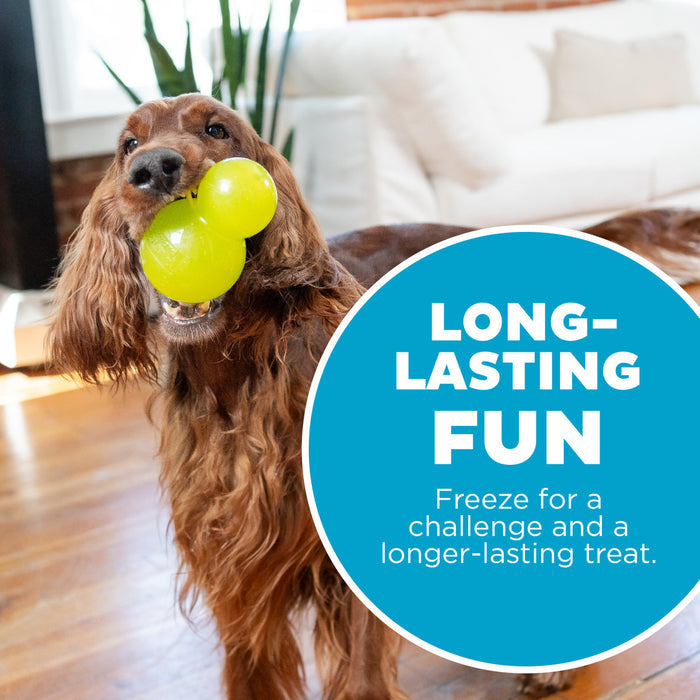 Double-Tuff Interactive Treat Stuffer Durable Dog Chew Toy, Large - Dog.Dog.Cat.