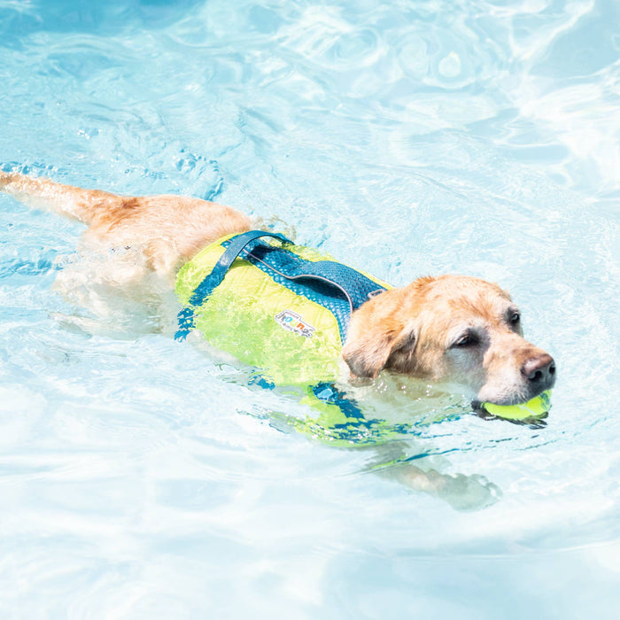 Pet Palette Distribution - Outward Hound Standley Sport Life Jacket Green Medium - Dog.Dog.Cat.