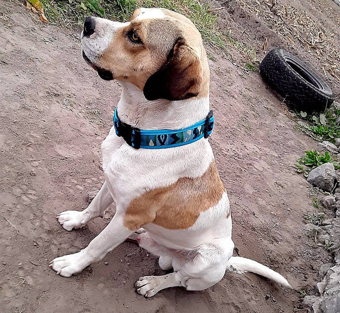Pichincha - Tribal Pattern Ecuadorian Large Pet Dog Thick Collar - Dog.Dog.Cat.