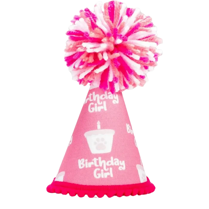 Pup Party Hats – Barkday Girl Hat | Handcrafted Dog Birthday Party Hat
