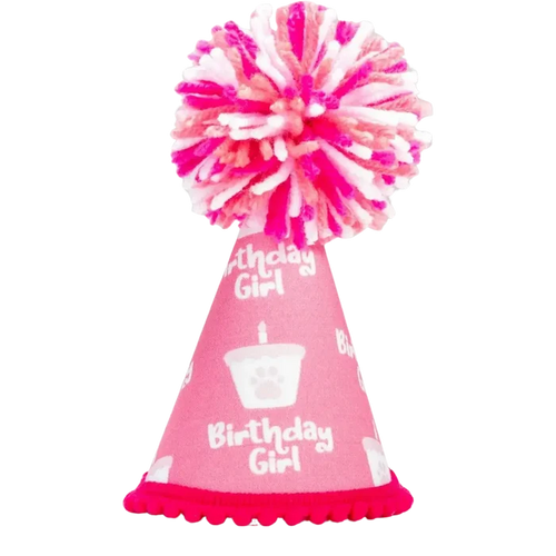 Pup Party Hats – Barkday Girl Hat | Handcrafted Dog Birthday Party Hat