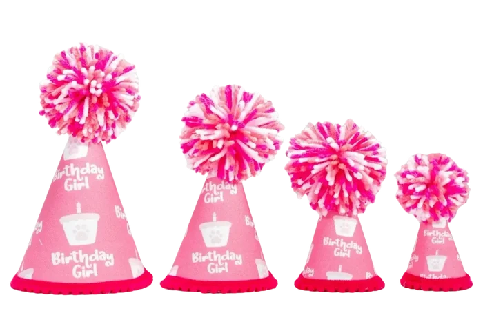 Pup Party Hats – Barkday Girl Hat | Handcrafted Dog Birthday Party Hat